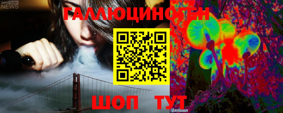 Псилоцибиновые грибы мицелий Богородицк