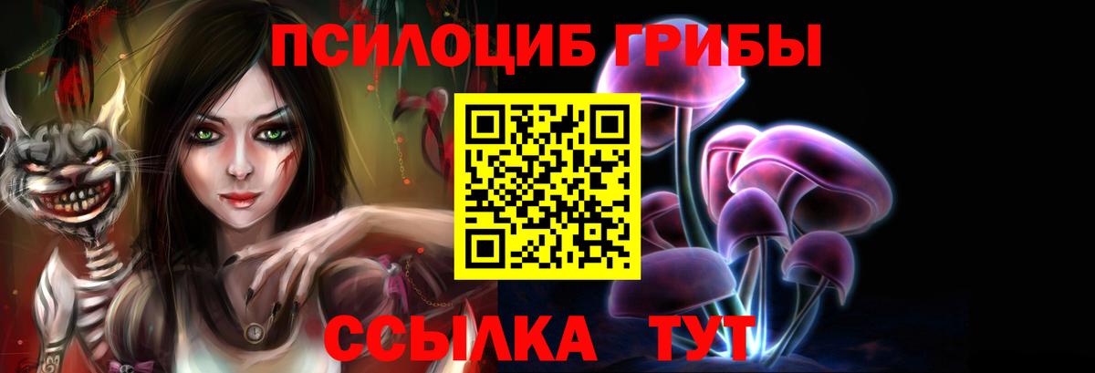Псилоцибиновые грибы MAGIC MUSHROOMS  Вход с VPN  Богородицк 